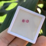 Par de Rubelita Brilhante